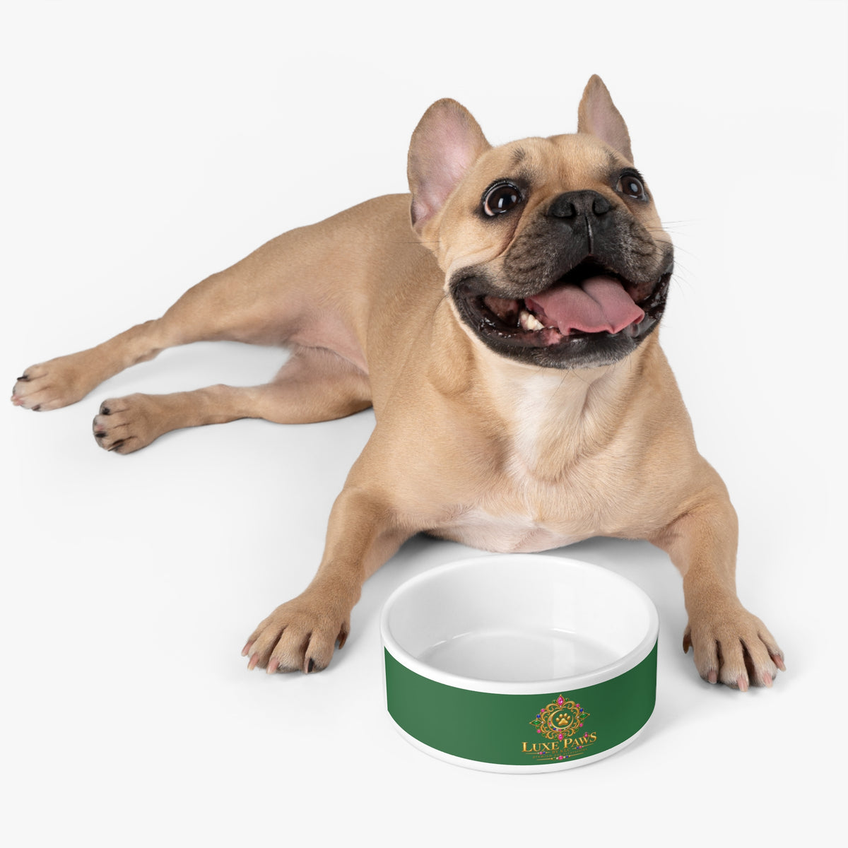 Luxe Paws Ceramic Pet Bowl — Emerald Green Designer Dog & Cat Feeding Dish