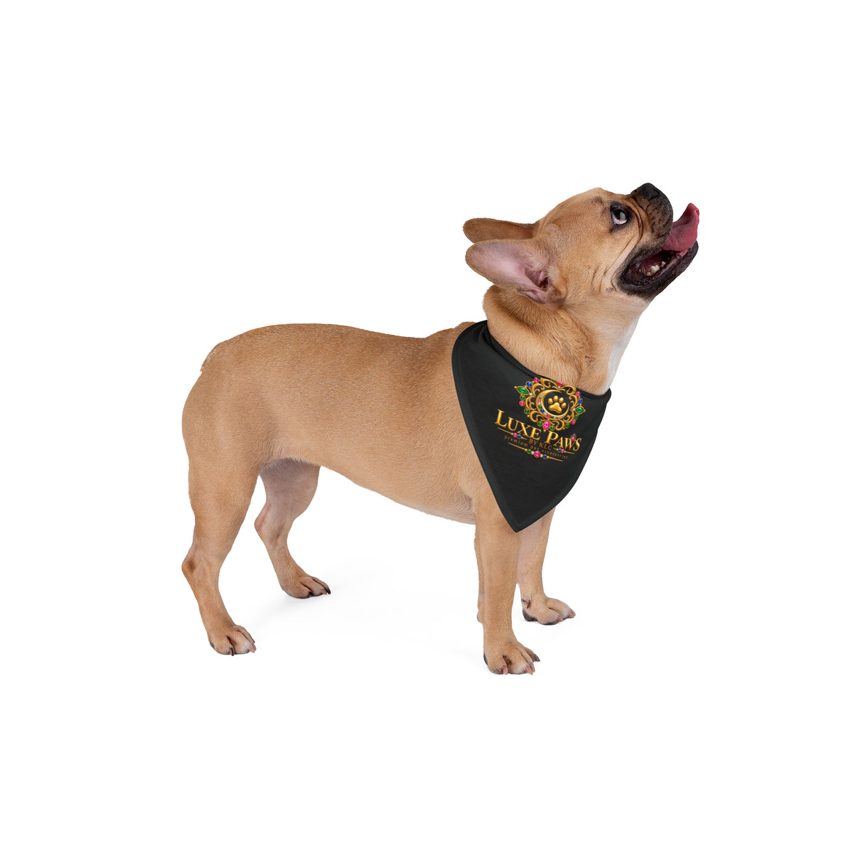 Luxurious 'Luxe Paws' Black Pet Bandana — Regal Pawprint Logo for Dogs & Cats