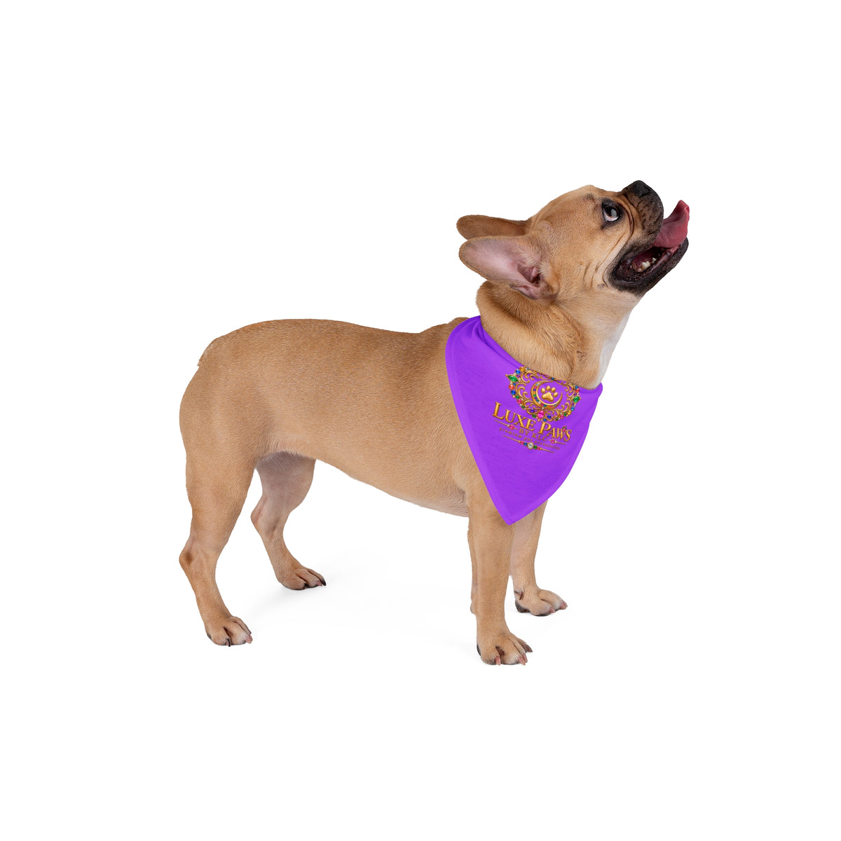 Luxe Paws Purple Pet Bandana — Gold Crest Dog & Cat Scarf